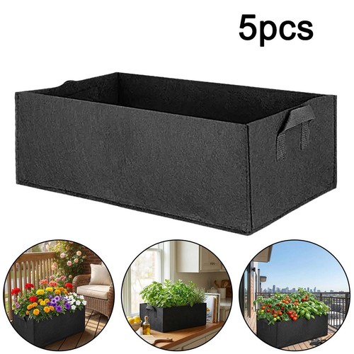 10x large plant grow - plant,