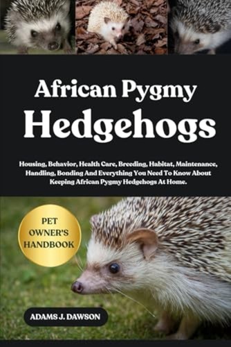 African pygmy hedgehogs - pygmy,