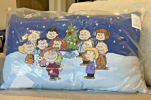 Pottery barn peanuts christmas - barn,