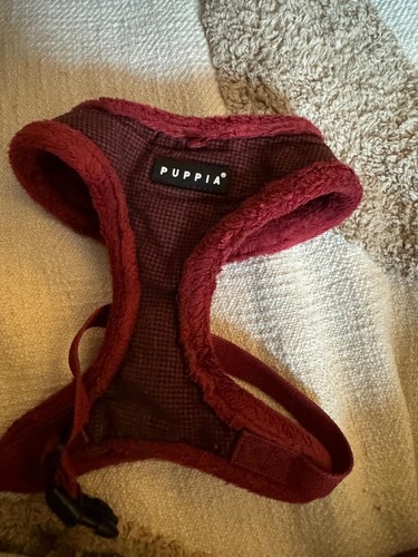 Dog harness small - harness,