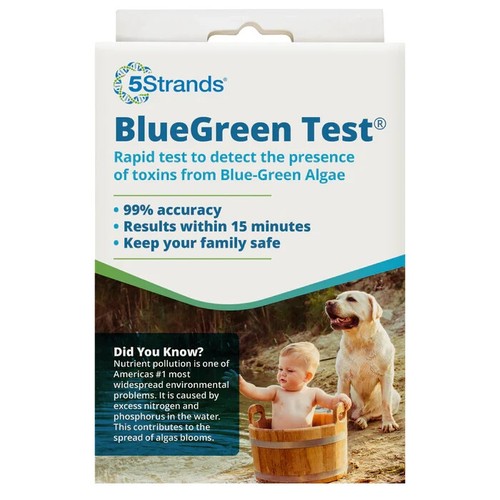 Blue green algae - blue, test