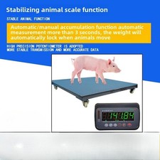 Weighbridge Livestock