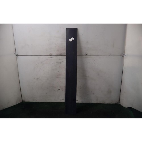 Front door car molding - molding, lh