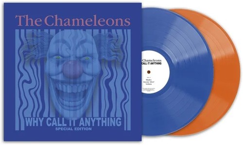 The chameleons why - the, it