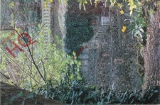 Picture Postcard-:The Plantation Garden, Earlham Road, Norwich