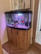 Juwel Vision 180 Litre