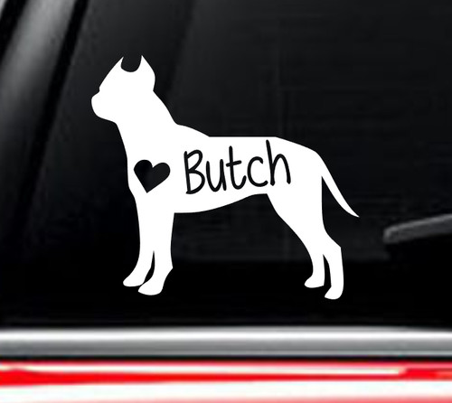 Pit bull american - ,