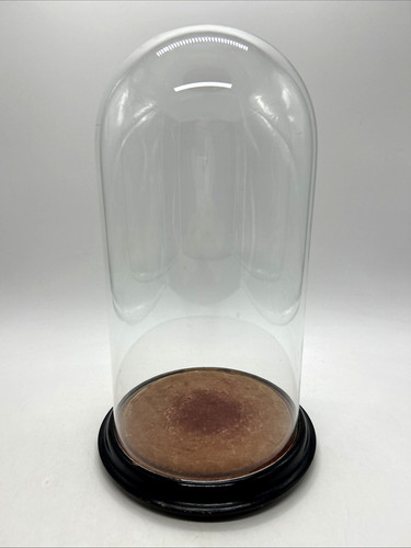 Vintage glass cloche display - vintage,