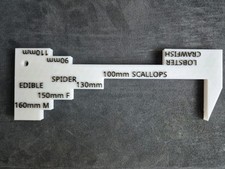 Lobster, Crab & Scallop