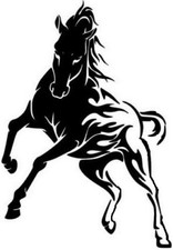 EXTRA LARGE 30" horse box car bonnet side decal sticker horsebox horse trailer