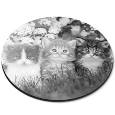 Round Mouse Mat (bw) - Gorgeous Kittens Garden Cats Animals  #41343