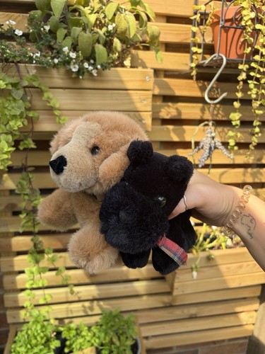 Mothercare vintage puppies - mothercare,