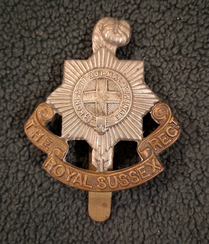 The royal sussex regiment - sussex,