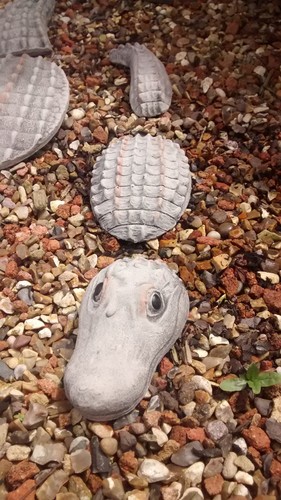 Submerged crocodile - submerged, (small)