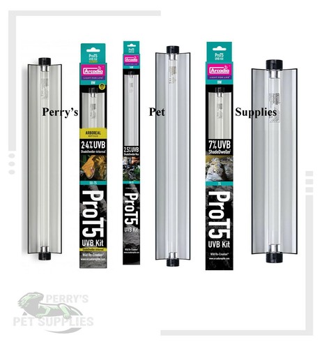 Arcadia pro shadedweller - pro,