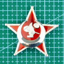 3961 STAR OF GALLIPOLI