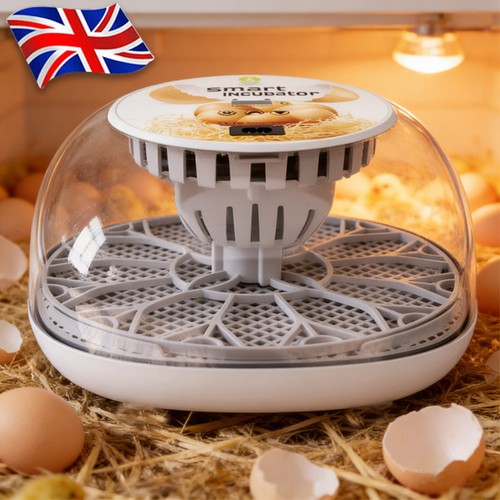 Incubators for hatching eggs - for,