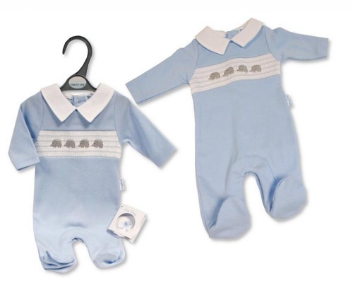 Premature tiny chick baby boys - chick,