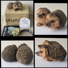 The Natural World Hedgehogs