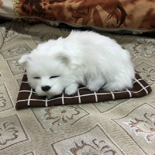 Samoyed sleeping dog - sleeping, resin