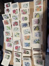 40x kensitas silk flowers - Cigarette Cards