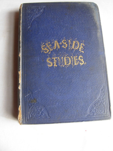 Sea side studies - sea-side,