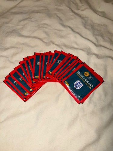 England panini stickers 2026