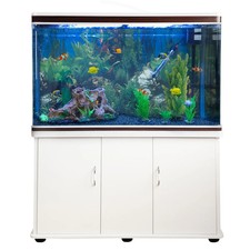 4ft Fish Tank Aquarium Set Up