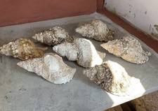 Large natural sea - large,