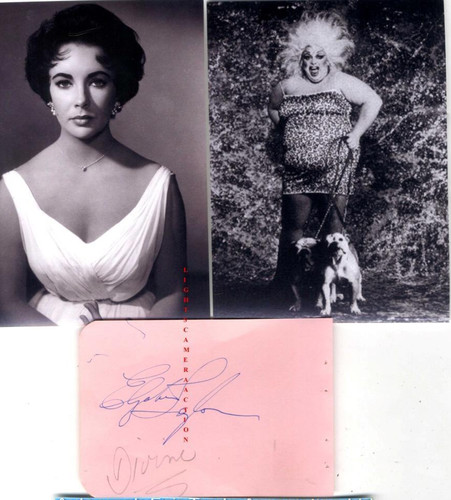 Dame elizabeth taylor divine - taylor,,