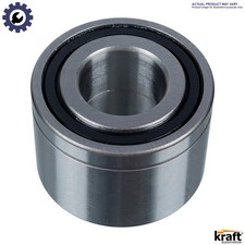 BUSH TENSIONER PULLEY LEVER