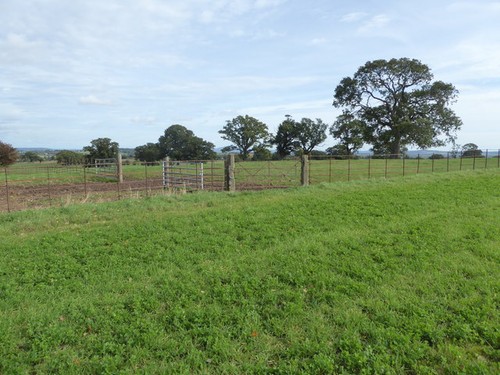 Photo 6x4 stone - photo, posts