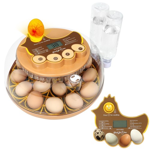 Nest iii egg incubator - nest,