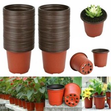 100 Garden Plastic Plant
