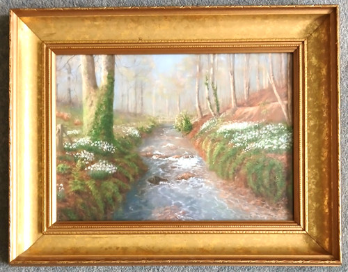 Snowdrops valley exmoor - snowdrops, in