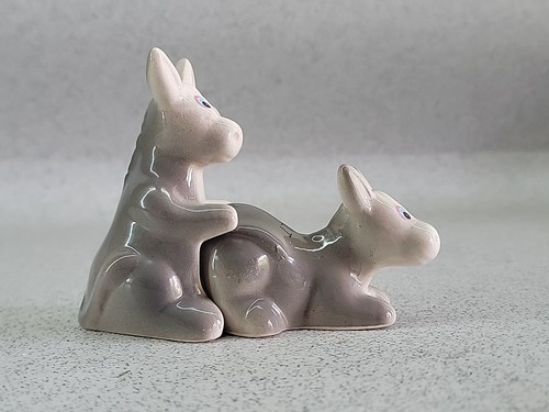 Novelty adult rude donkey - adult, salt