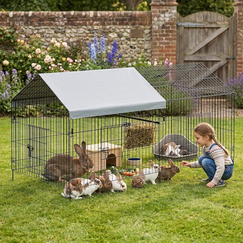 Large walk chicken - large, coop