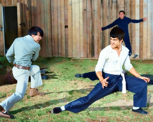 Bruce lee colour - lee, 10"