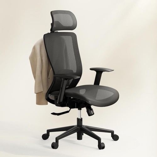 Flexispot oc22 air ergonomic - flexispot,