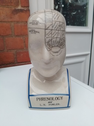 Phrenology head n fowler - phrenology,