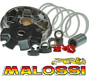 Variator malossi - variator,