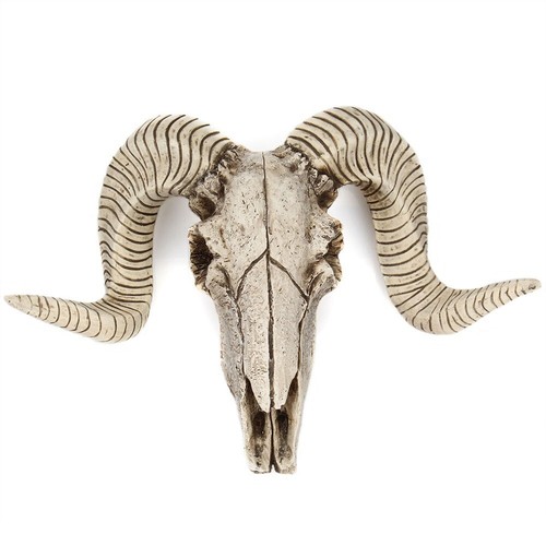 Skull sheep head wall - skull,