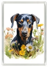 DOBERMAN PINSCHER DOG &