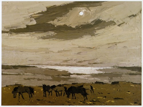 Welsh ponies - welsh,
