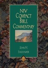 Niv Compact Bible Commentary