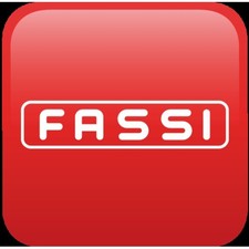FASSI lettering type sticker 1