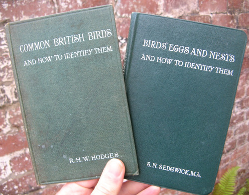1916 common british - 1916,