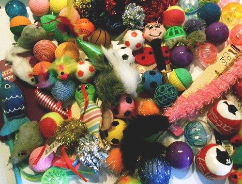 Bulk buy cat kitten toys - bulk,