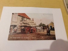 Young & Cooper - Hop Picking -