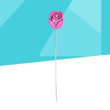  Cake Tester for Baking Long